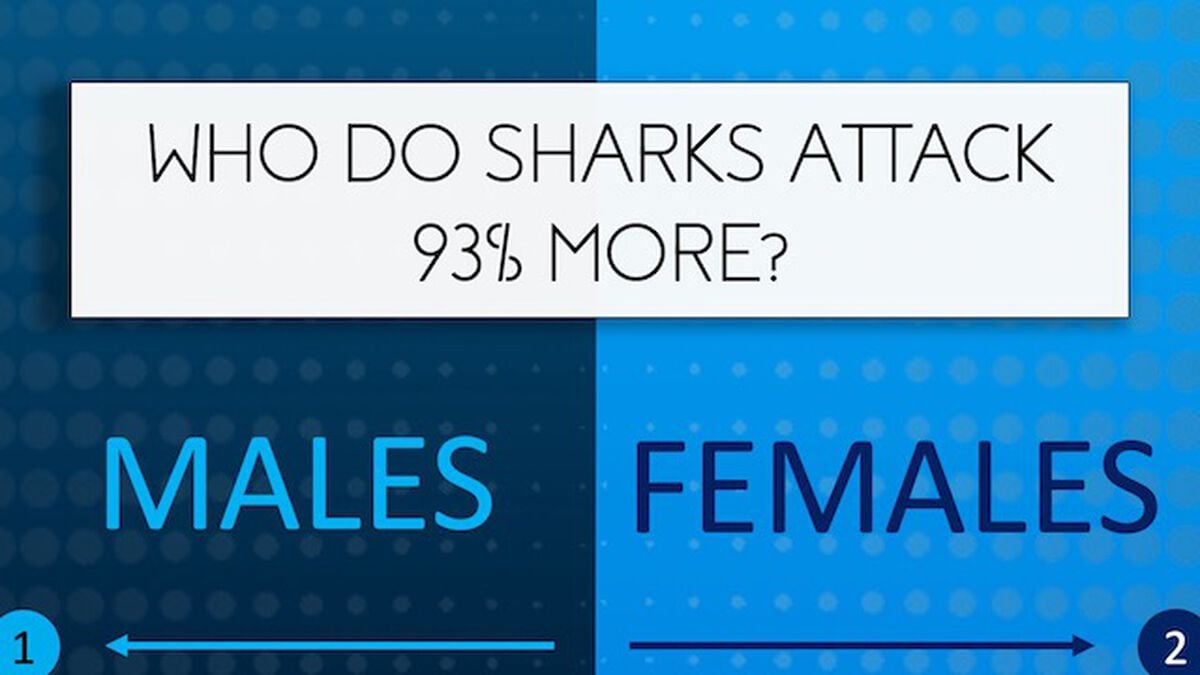 Shark Quiz image number null